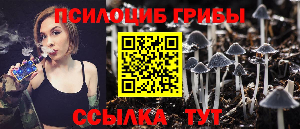 Салават  Псилоцибиновые грибы мицелий  Вход с VPN  Галлюциногенные грибы MAGIC MUSHROOMS 